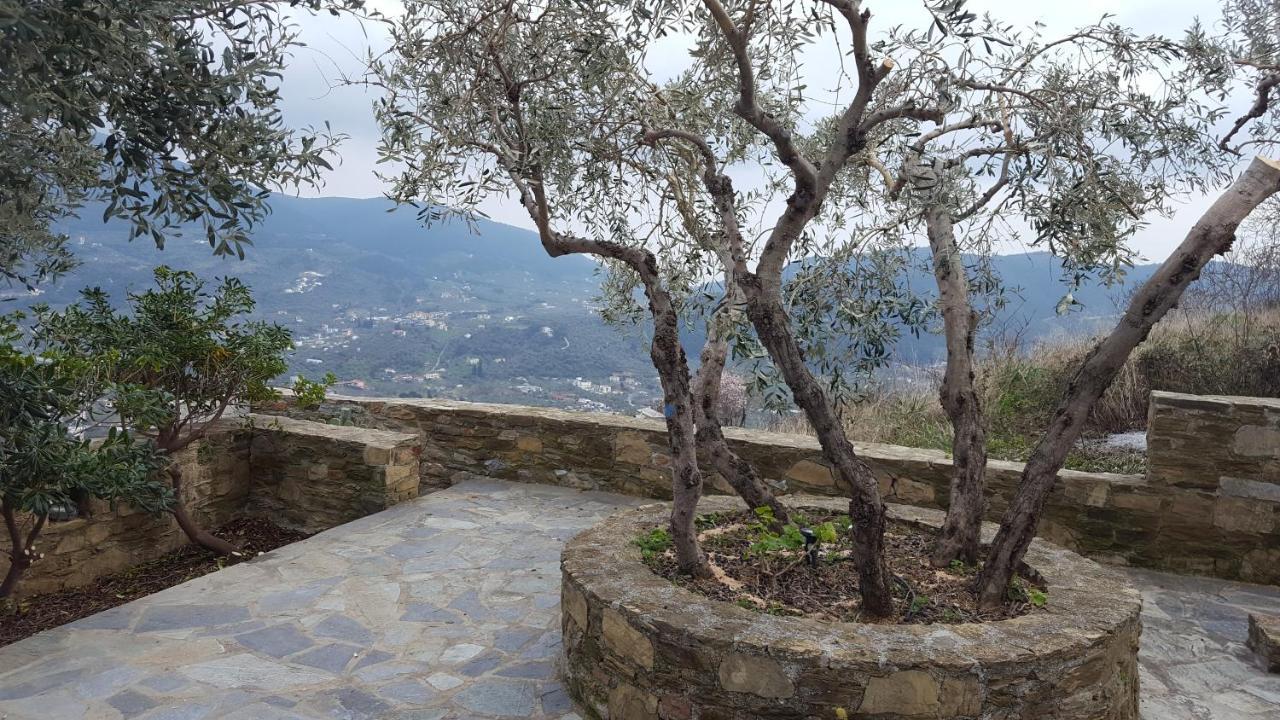 Erato Villa Σκόπελος Εξωτερικό φωτογραφία