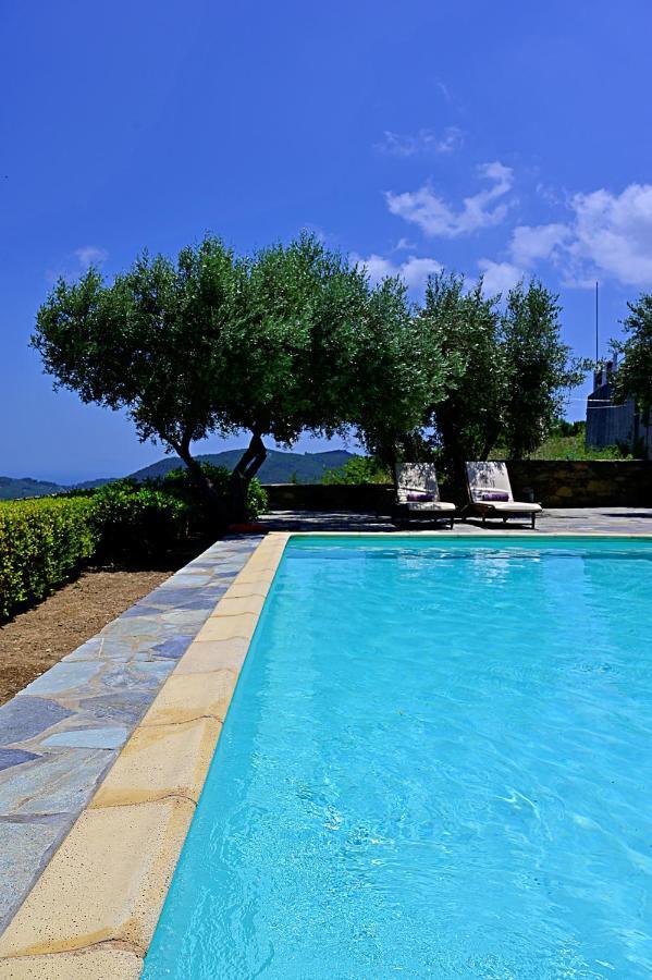 Erato Villa Σκόπελος Εξωτερικό φωτογραφία