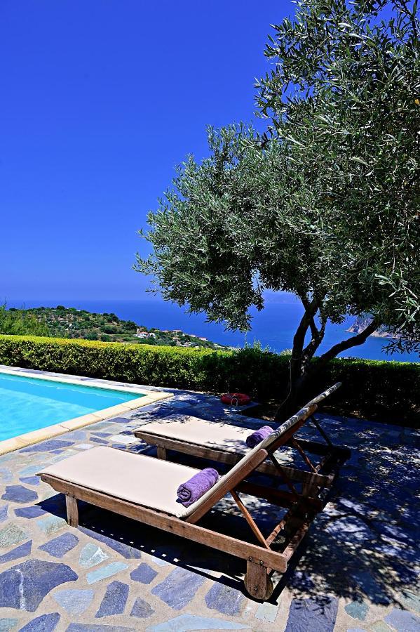 Erato Villa Σκόπελος Εξωτερικό φωτογραφία